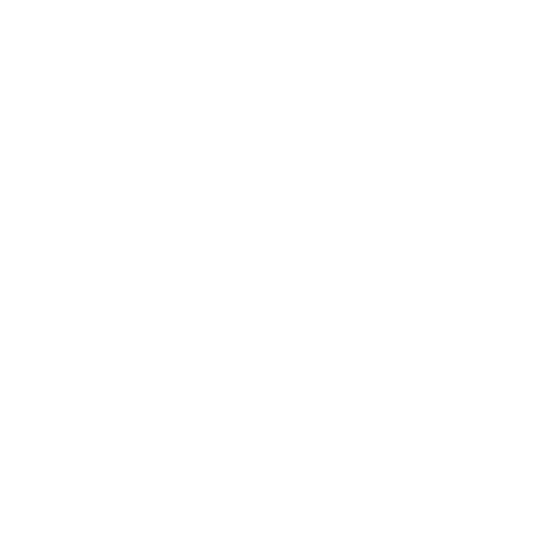image of instagram icon